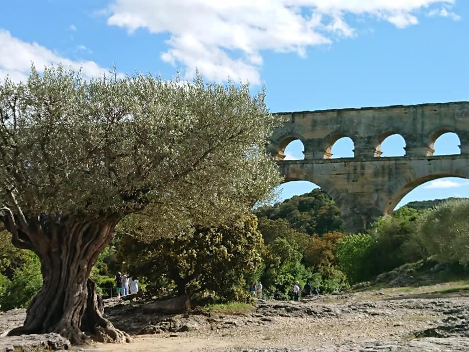 Lou Meinado Saint-Martin-de-Crau Exteriér fotografie